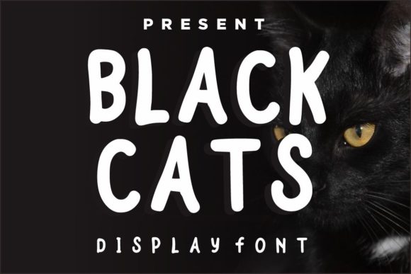 Black Cats: The Bold Display Font That Transforms Small Business Branding