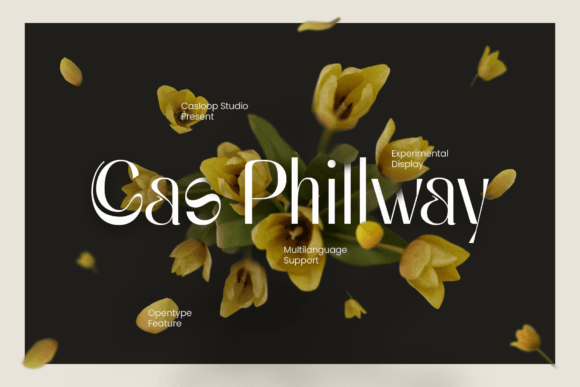 Cas Philway: The Display Font That Elevates Your Campaigns