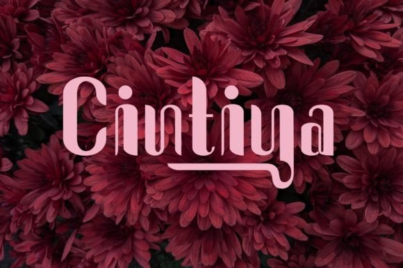 Cintiya Font for Professional Branding and Creative Design
